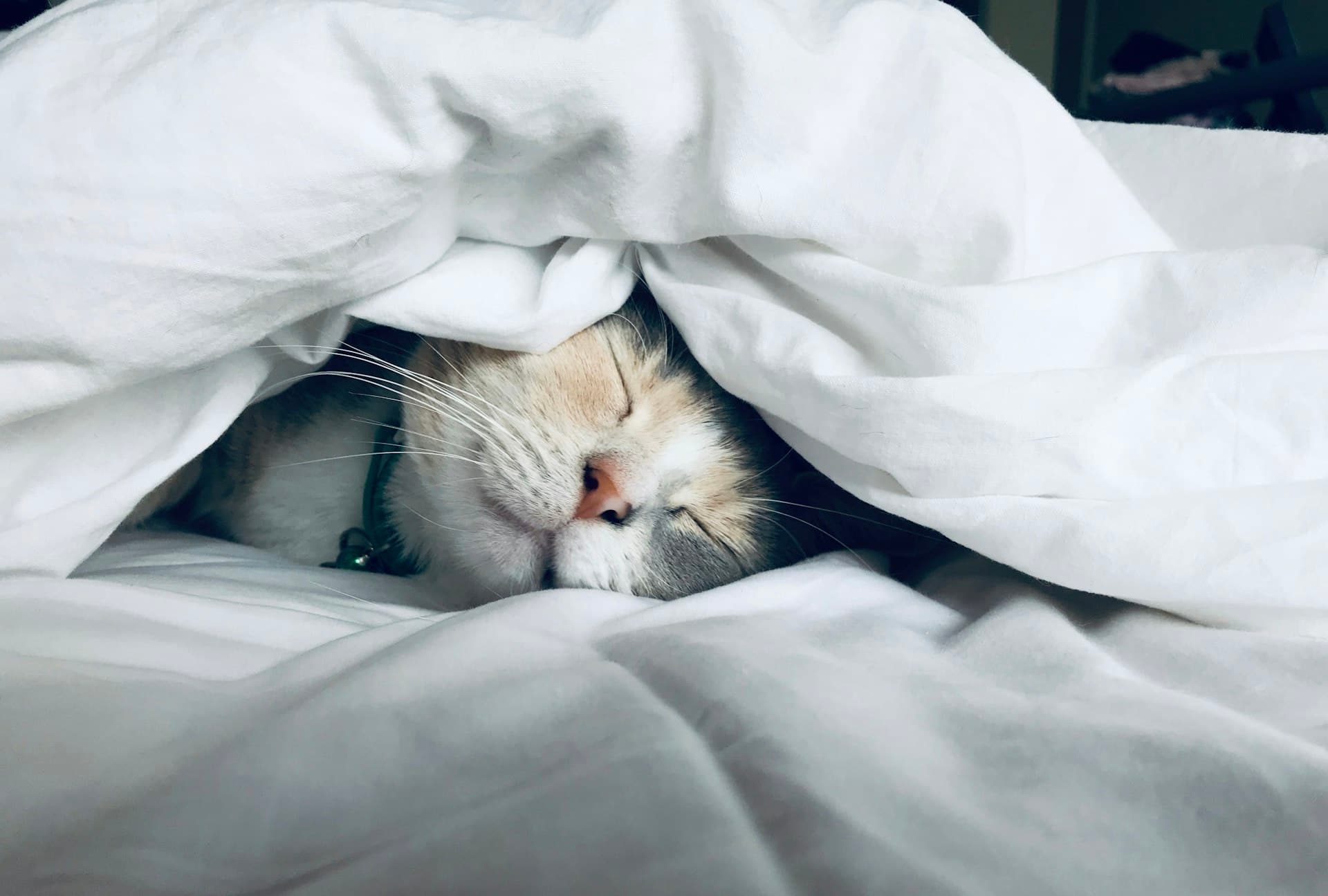 ADHD and Sleep Problems: Why Your Brain Won't Switch Off at Night